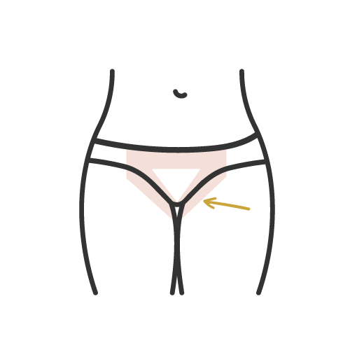 Basic Bikini Basic Bikini waxing area icon