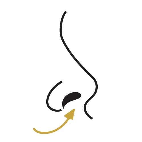 Nostrils nostril waxing icon